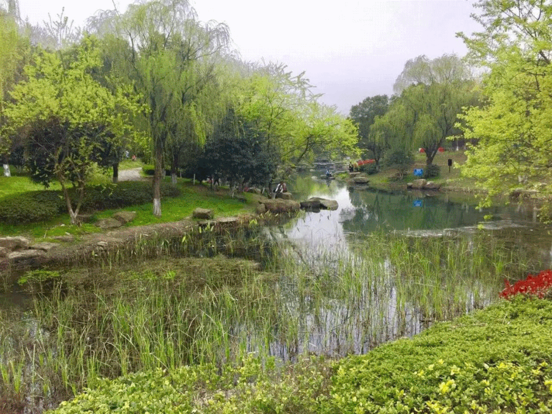 良渚美丽洲公园.gif