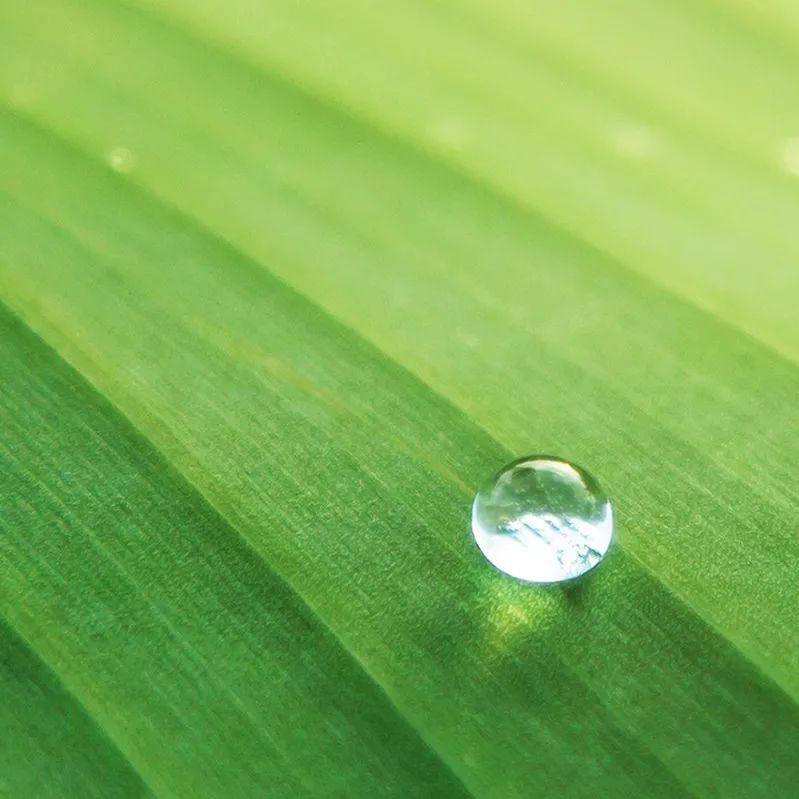 赶紧种草吧！上海周边宝藏级房车露营地推荐—杭州沐心岛房车度假营
