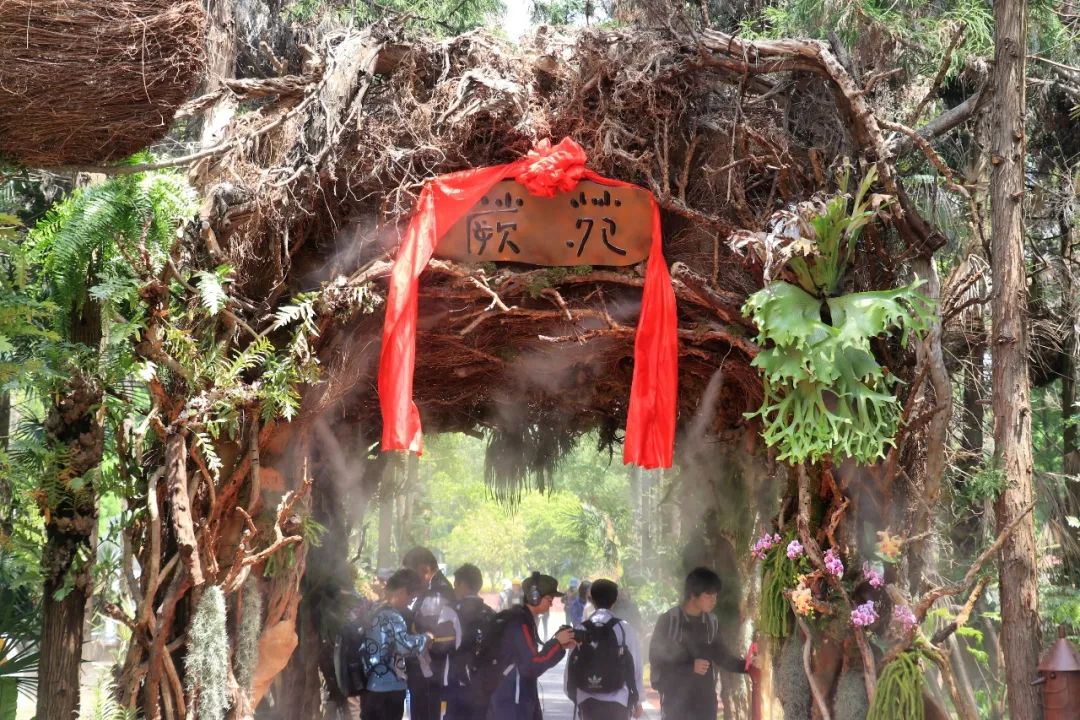 大福利298秒抢超大房车住宿，看世界杯~吃烧烤，赠双人崇明东平森林公园游玩门票