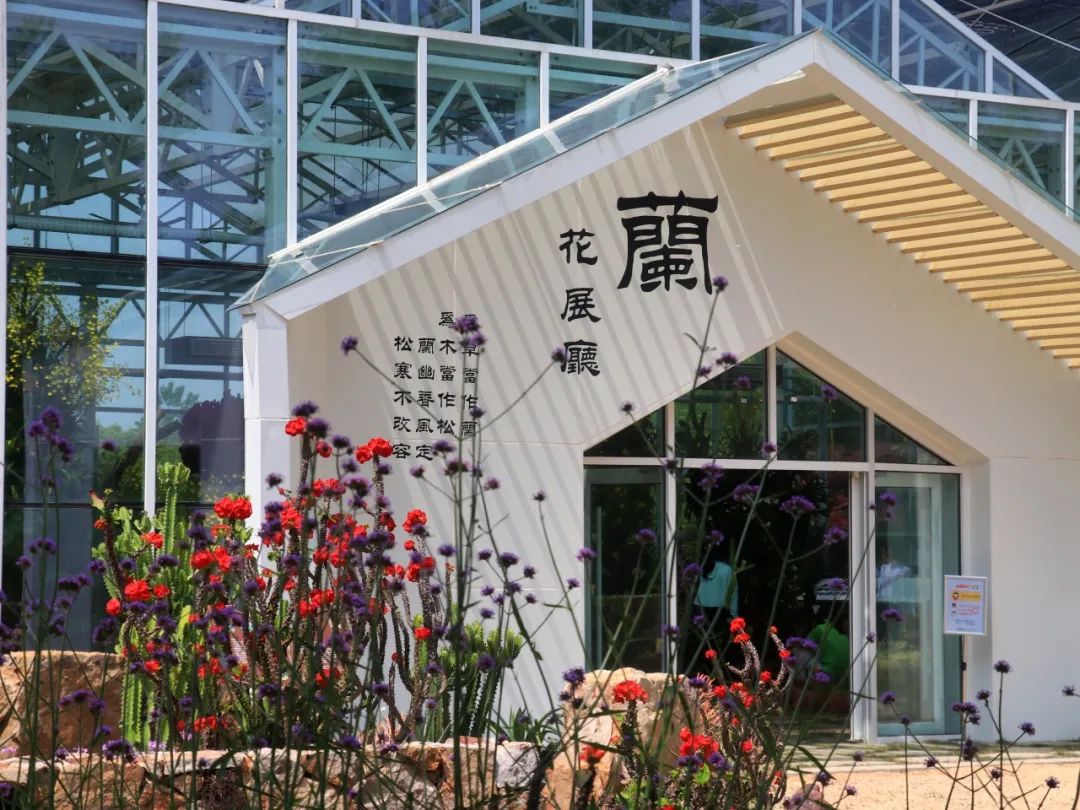 大福利298秒抢超大房车住宿，看世界杯~吃烧烤，赠双人崇明东平森林公园游玩门票