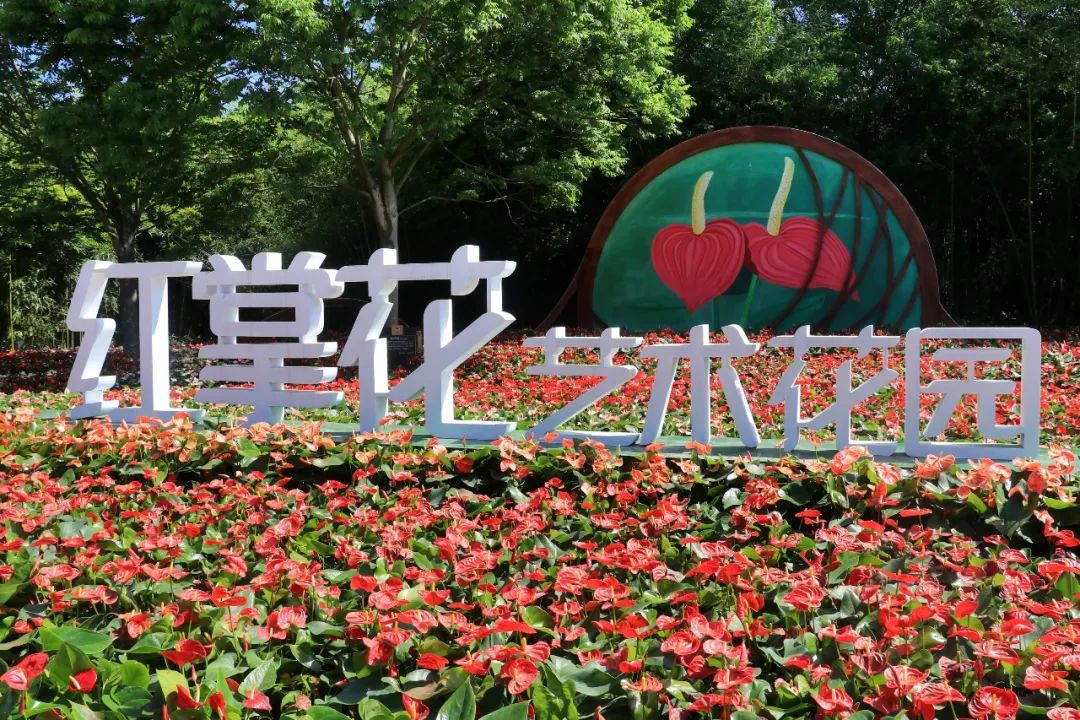 大福利298秒抢超大房车住宿，看世界杯~吃烧烤，赠双人崇明东平森林公园游玩门票