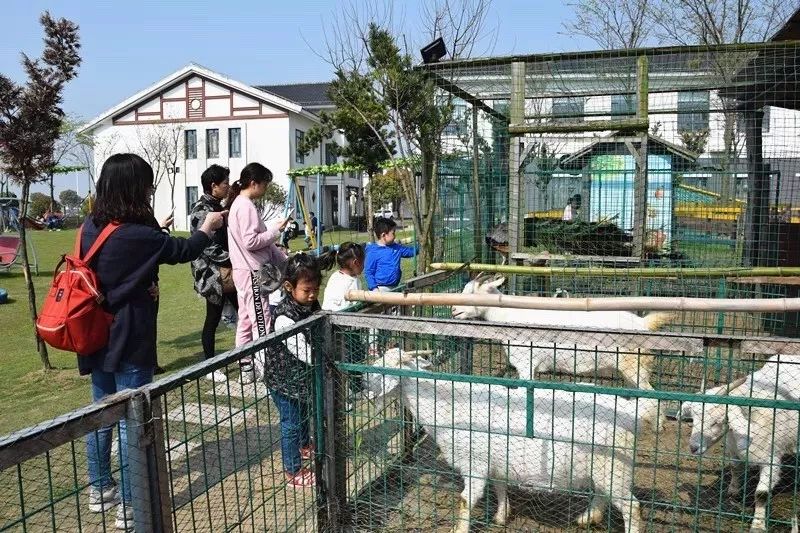 燃情8月，超低价的崇明房车住宿体验来了-明珠湖天鹅苑