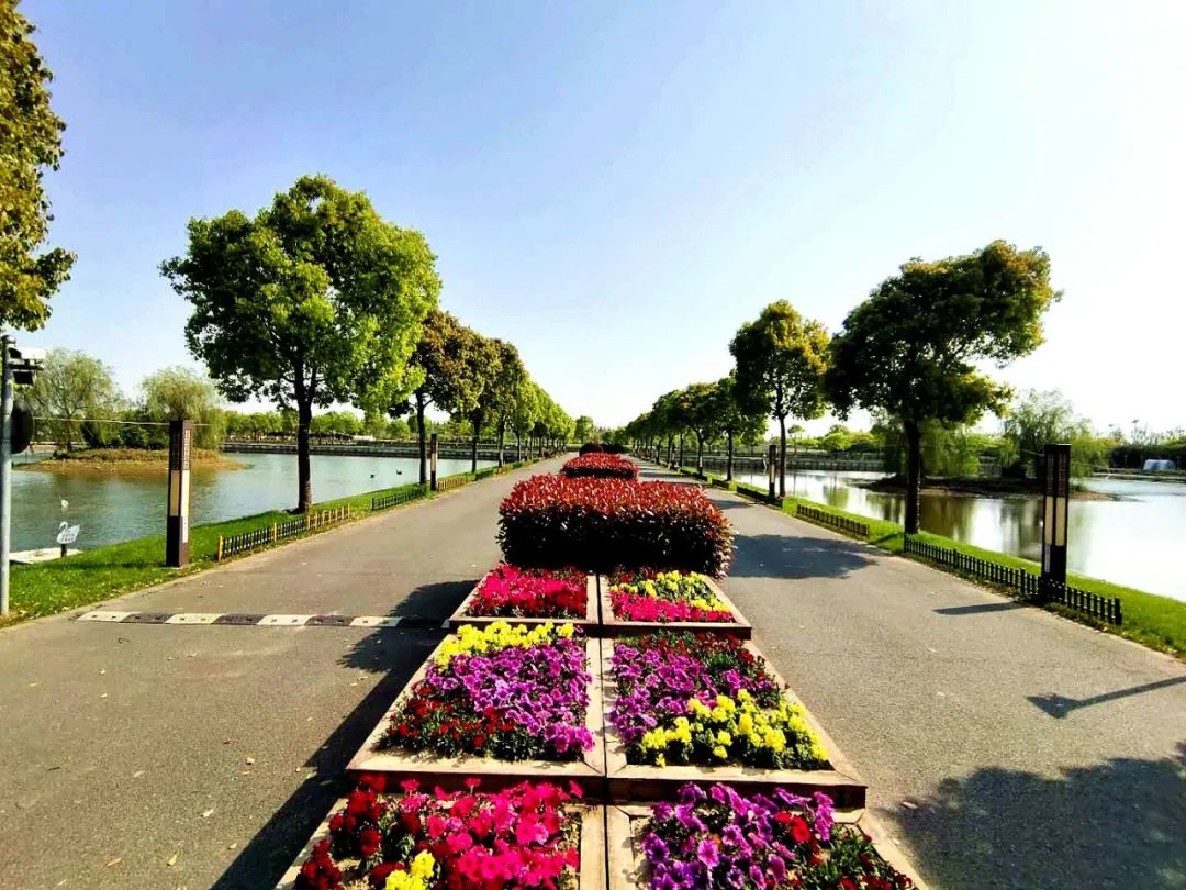 燃情8月，超低价的崇明房车住宿体验来了-明珠湖天鹅苑