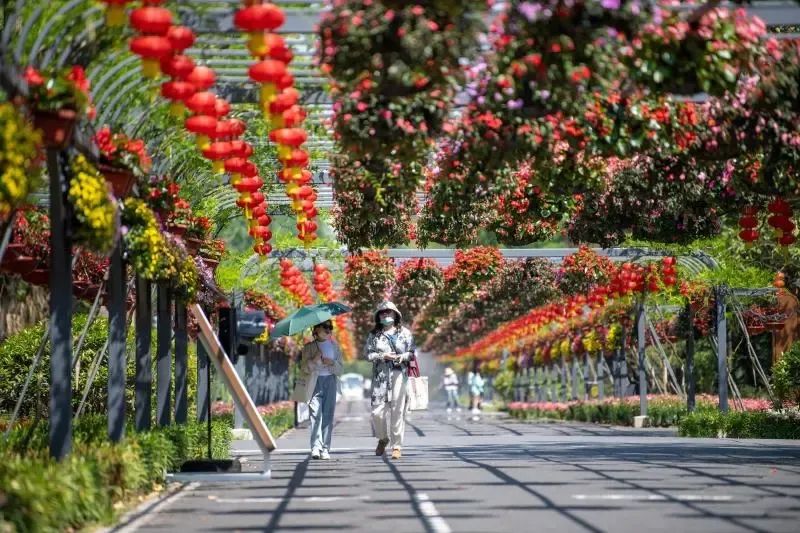 大福利298秒抢超大房车住宿，这个暑假来崇明花博文化园，赏花、烧烤啤酒和露营！