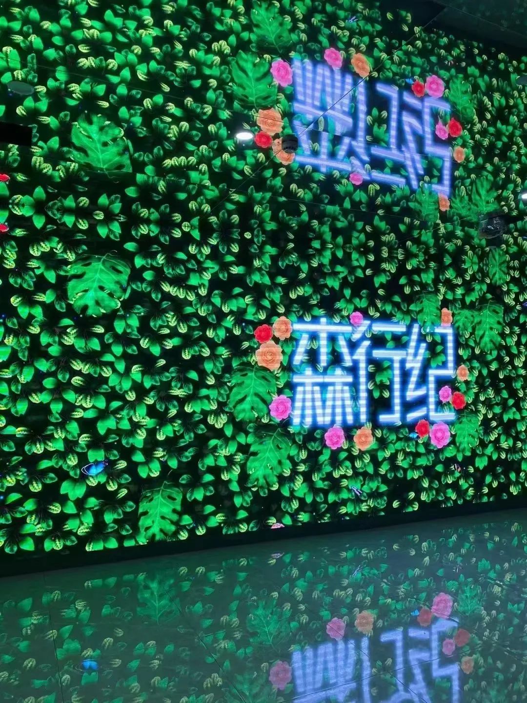 大福利298秒抢超大房车住宿，这个暑假来崇明花博文化园，赏花、烧烤啤酒和露营！