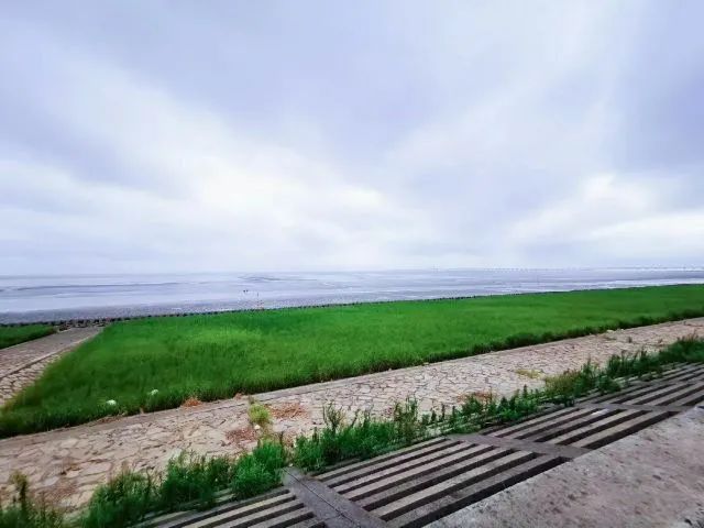 节假日上海自驾出游，一定要去的十个景点推荐！