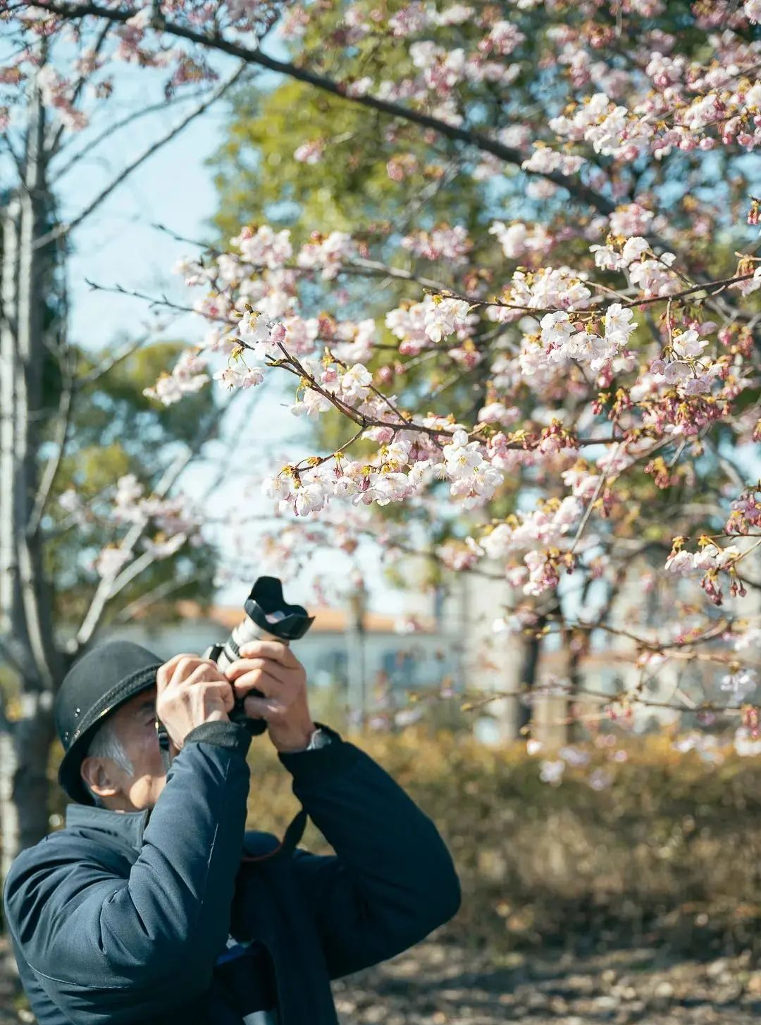 节假日上海自驾出游，一定要去的十个景点推荐！