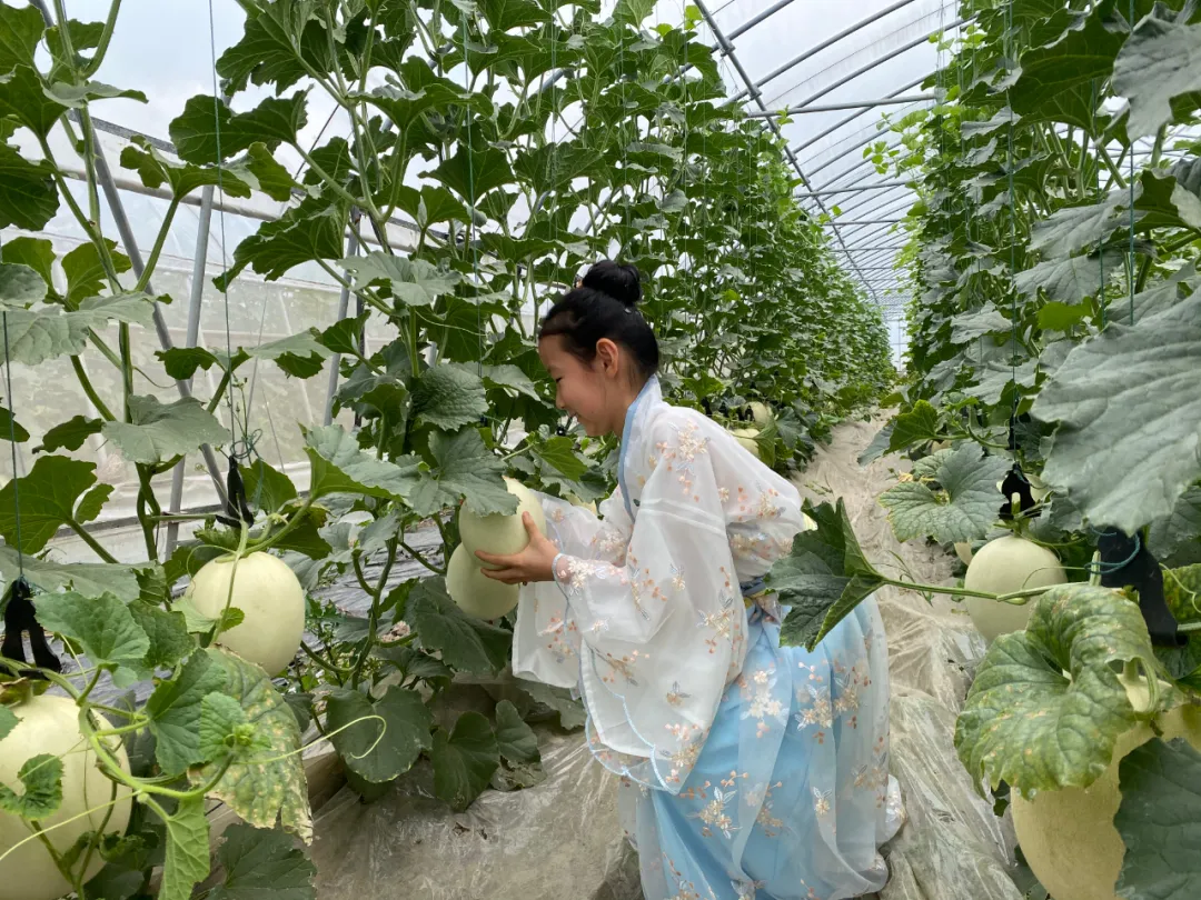 节假日上海自驾出游，一定要去的十个景点推荐！