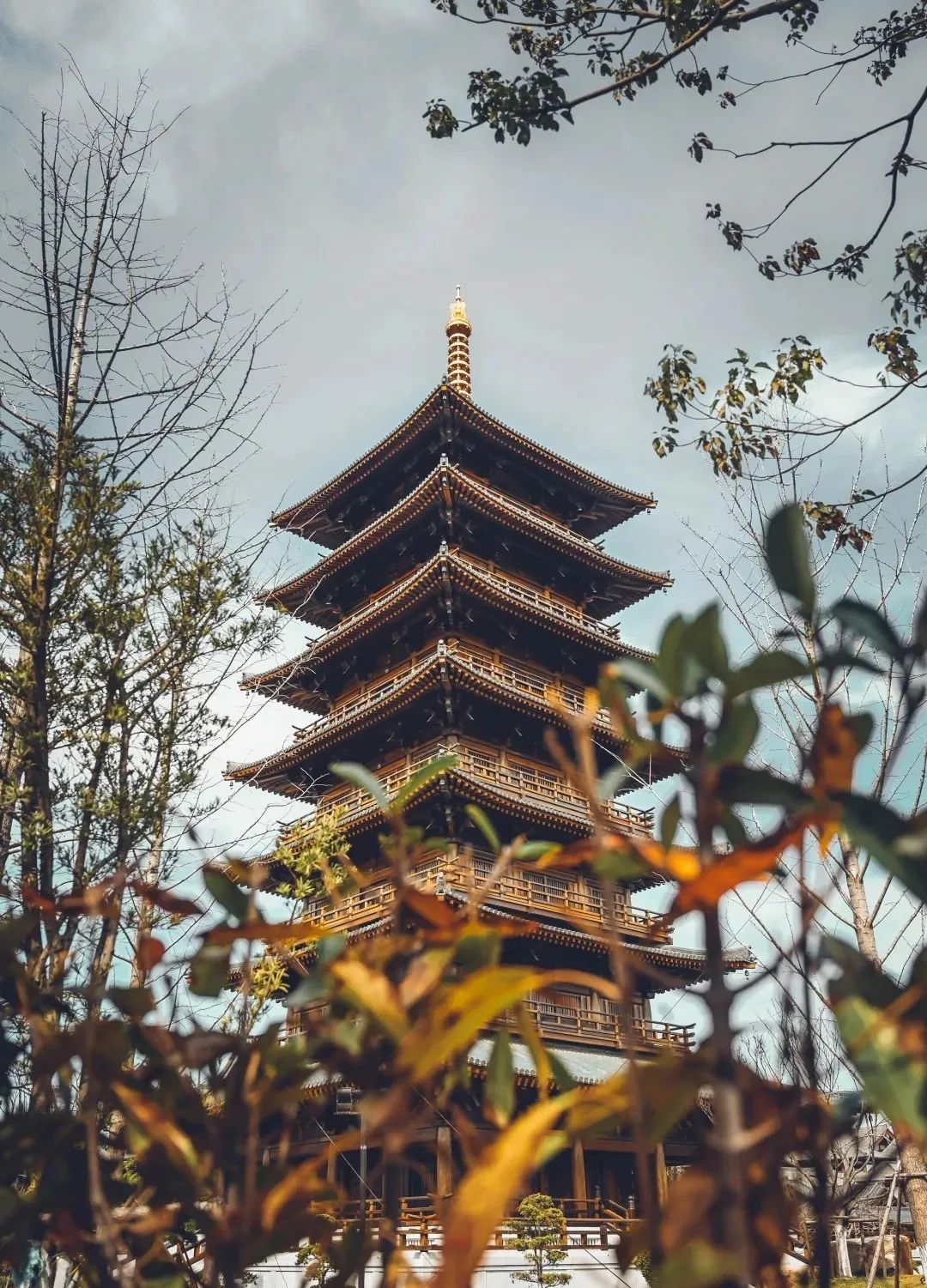 节假日上海自驾出游，一定要去的十个景点推荐！