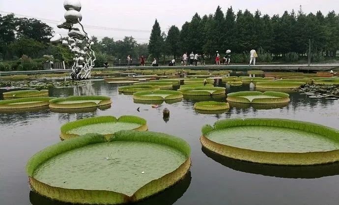 节假日上海自驾出游，一定要去的十个景点推荐！