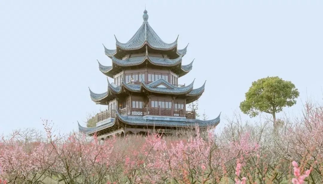 节假日上海自驾出游，一定要去的十个景点推荐！