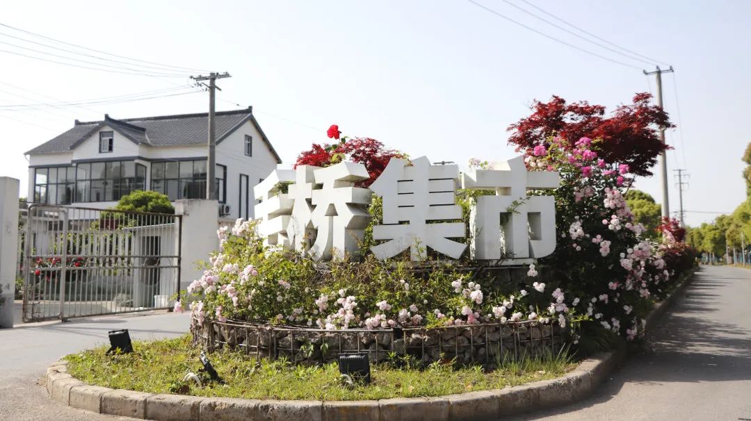 节假日上海自驾出游，一定要去的十个景点推荐！
