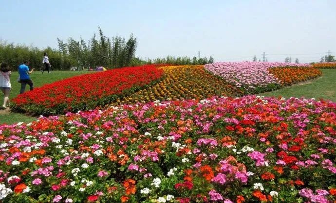 节假日上海自驾出游，一定要去的十个景点推荐！