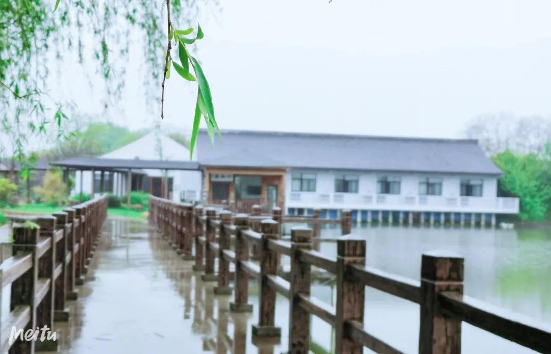 忘却城市喧嚣，来崇明采摘本土新鲜果蔬-上海假日岛房车露营地