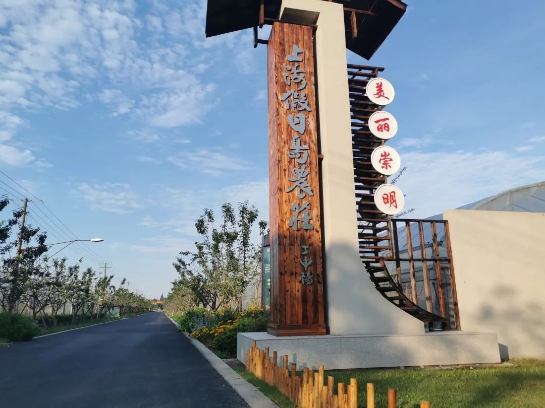 忘却城市喧嚣，来崇明采摘本土新鲜果蔬-上海假日岛房车露营地