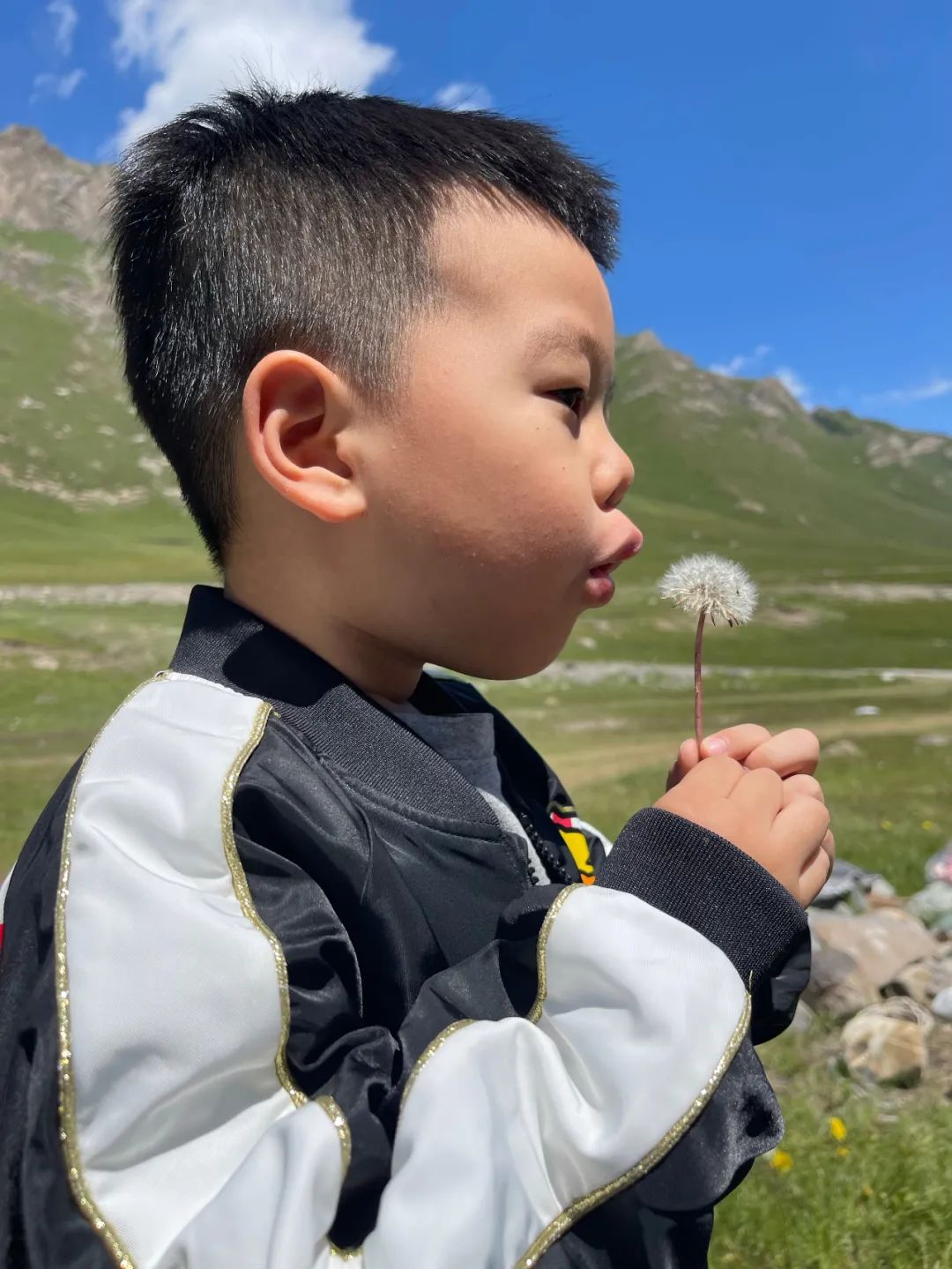 房车/旅行达人小马哥：行过万里路，更读万卷书！