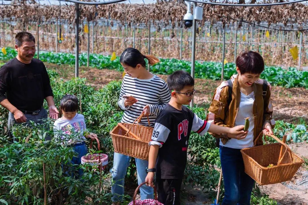 直降300元！抓住夏天的尾巴，来莫干山蹦床、采摘、烧烤、喂动物吧！