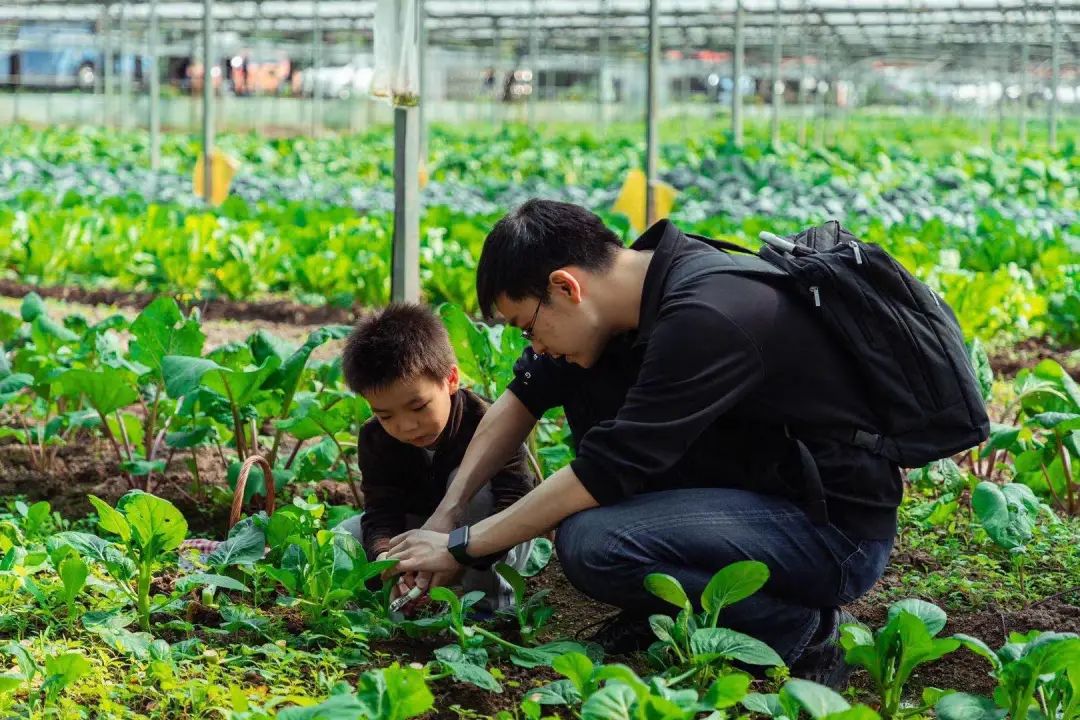 直降300元！抓住夏天的尾巴，来莫干山蹦床、采摘、烧烤、喂动物吧！