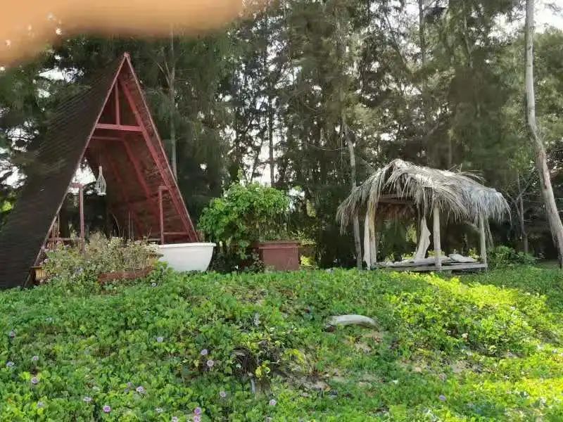 观辽阔平原，敬蔚蓝大海——优质房车露营地精选合集