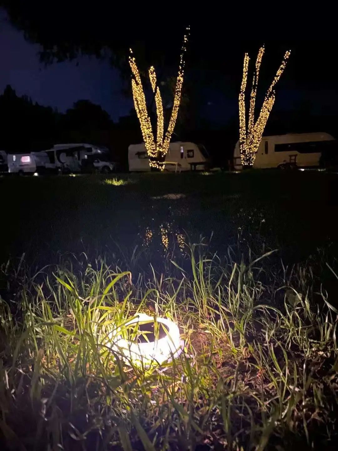 是想在高耸入云的森林中纳凉？还是在一碧万顷的草原上疾驰？这些地方都能满足——优质房车露营地精选合集(5)