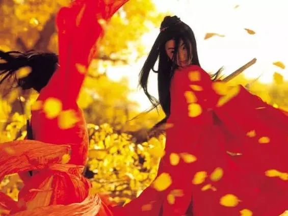 梦幻金秋额济纳 | 三千年守候，赴一场千年之约，错过又是一年！