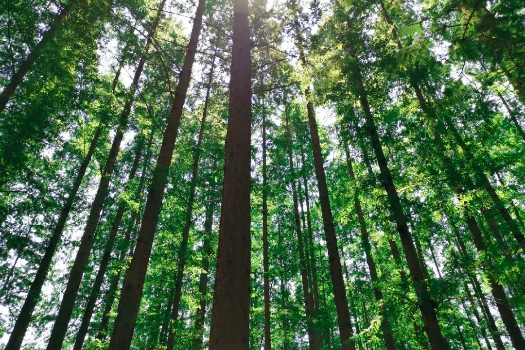 这里是潍坊的“小西藏“，依山傍水，风景秀丽……
