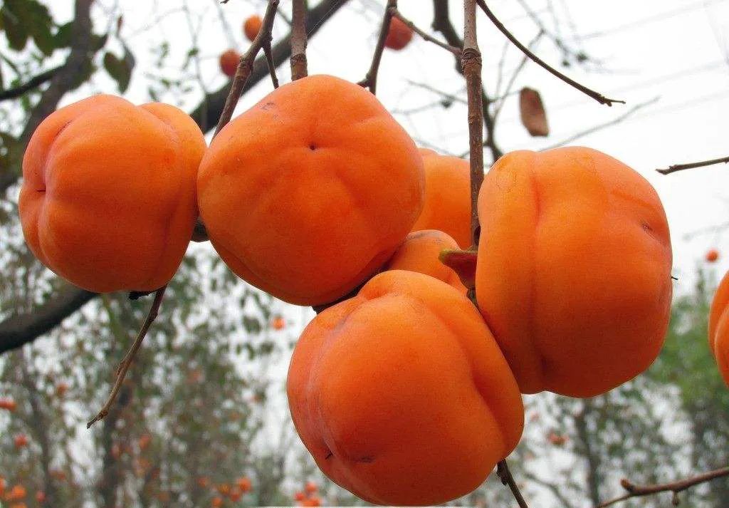 这里是潍坊的“小西藏“，依山傍水，风景秀丽……