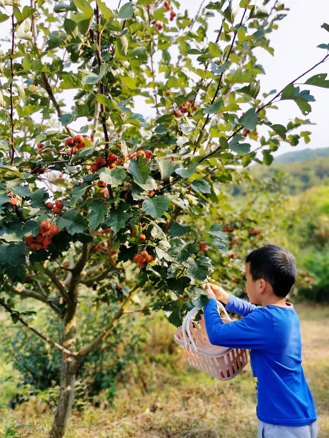 这里是潍坊的“小西藏“，依山傍水，风景秀丽……