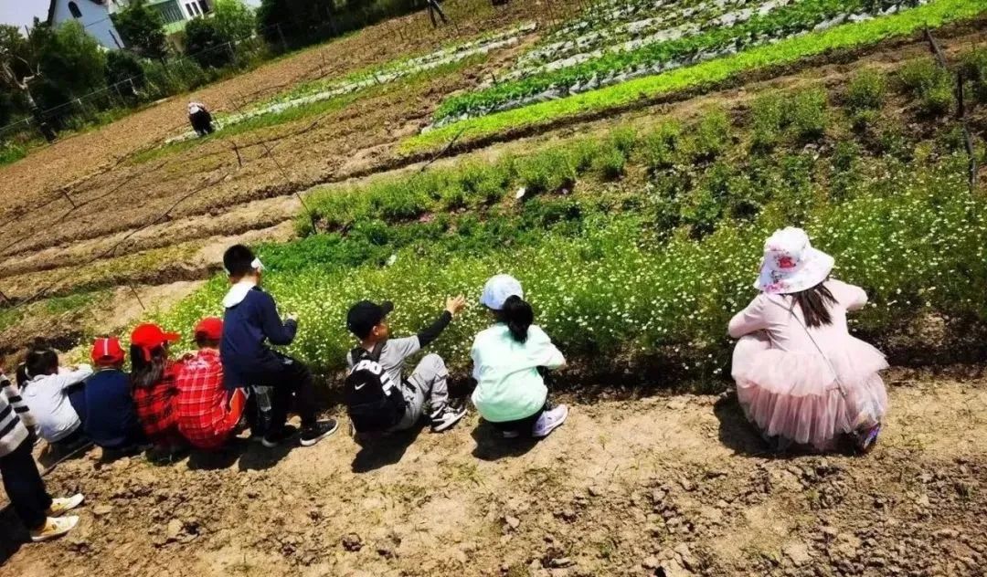 1314，一生一定要和那个TA去一次露营