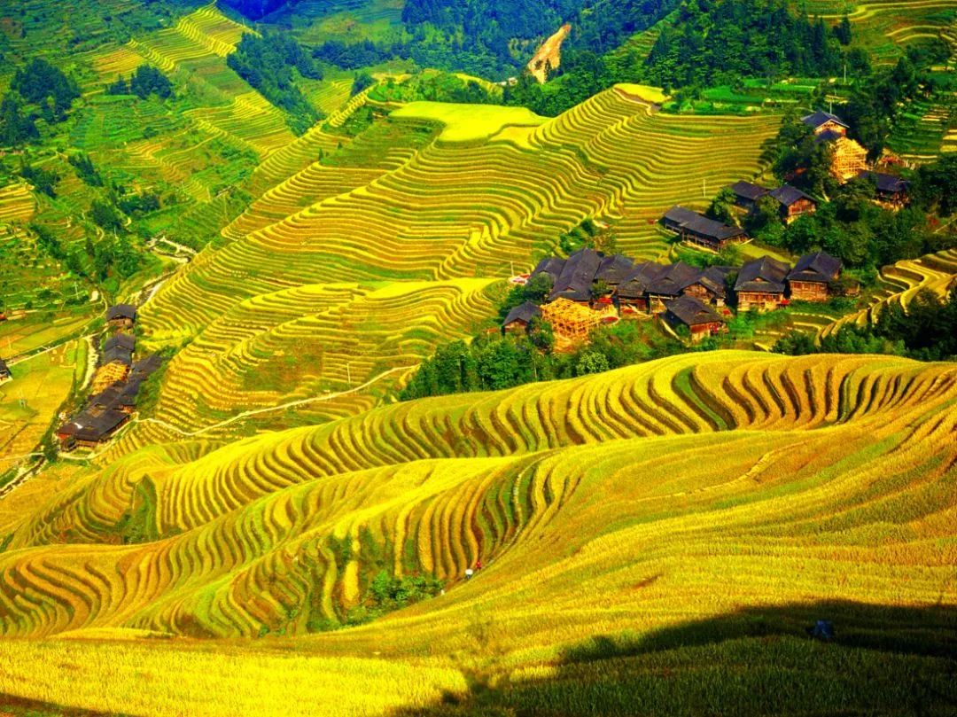 【房车旅行●广西全境11日游】南宁起止，桂林阳朔、龙脊梯田、贵州肇兴侗寨、巴马长寿乡、德天跨国大瀑布、万尾金滩、北海银滩、涠洲岛