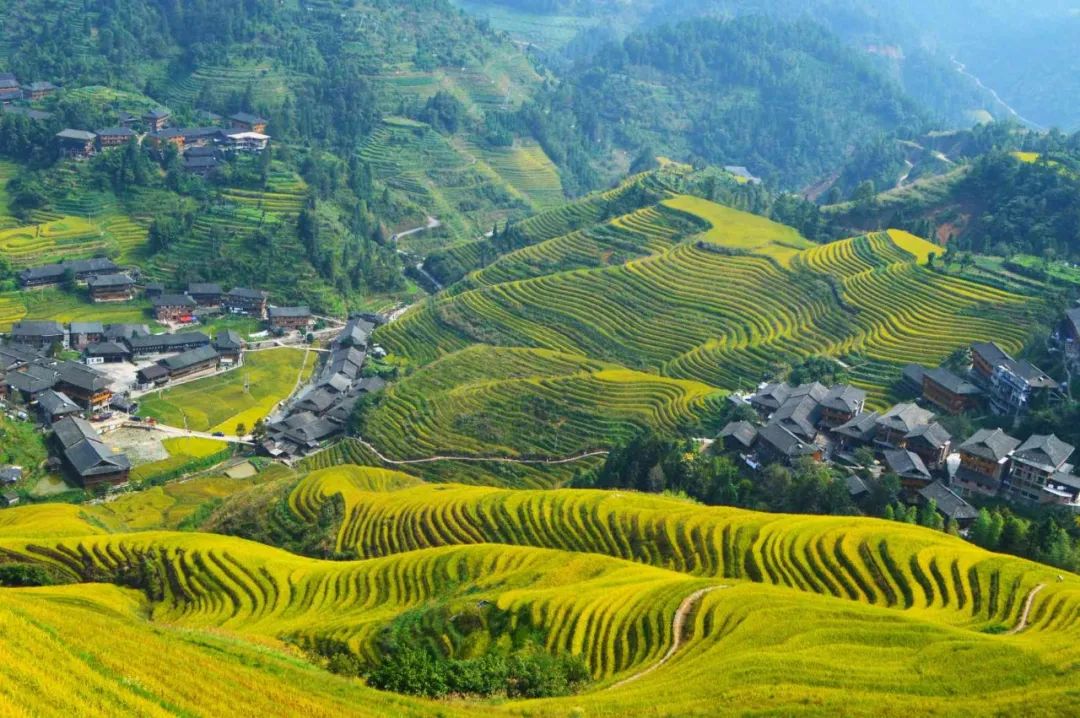 【房车旅行●广西全境11日游】南宁起止，桂林阳朔、龙脊梯田、贵州肇兴侗寨、巴马长寿乡、德天跨国大瀑布、万尾金滩、北海银滩、涠洲岛