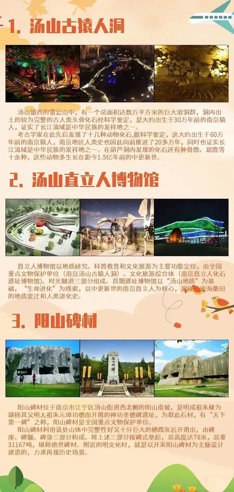 【露营地推荐】房车之旅还能体验特色茶园温泉?!听说还可以放烟花?又是一个意想不到的狂喜! 【露营地推荐】房车之旅还能体验特色茶园温泉?!听说还可以放烟花?又是一个意想不到的狂喜!