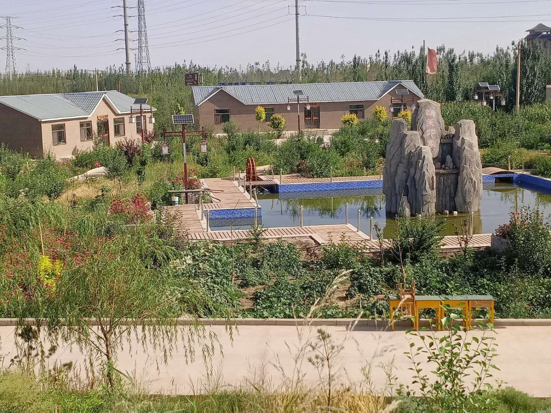 【全国营地】西北地区营地合集。在草原里约一场露营，清新自然